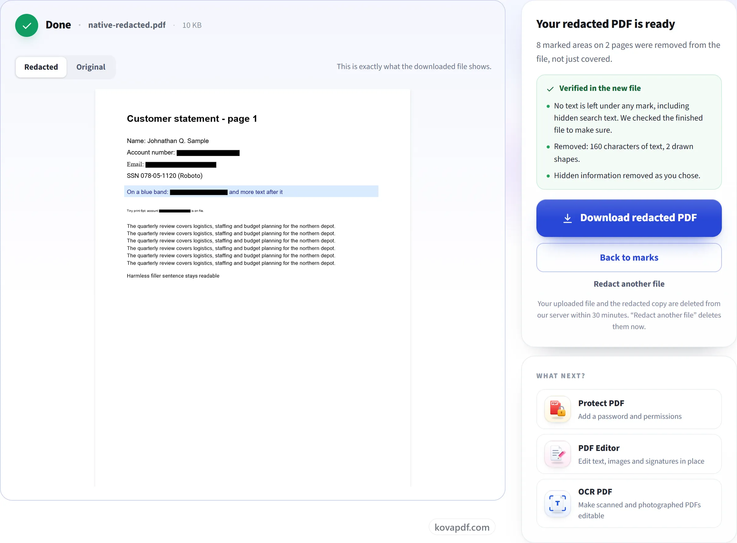 The Redact PDF result screen with the download button and the list of checks